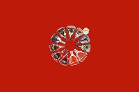 保定阜平县回收红酒